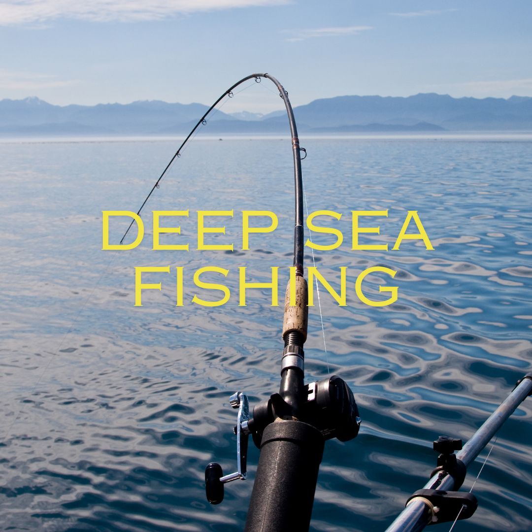 Thing To Do DEEP SEA FISHING